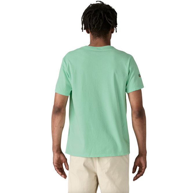 Fitz Roy Icon Responsibili-Tee T-Shirt Rinsed Green