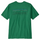 P-6 Logo Responsibili T-Shirt Torrey Pine Grün